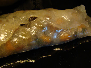 DSC06517.JPG