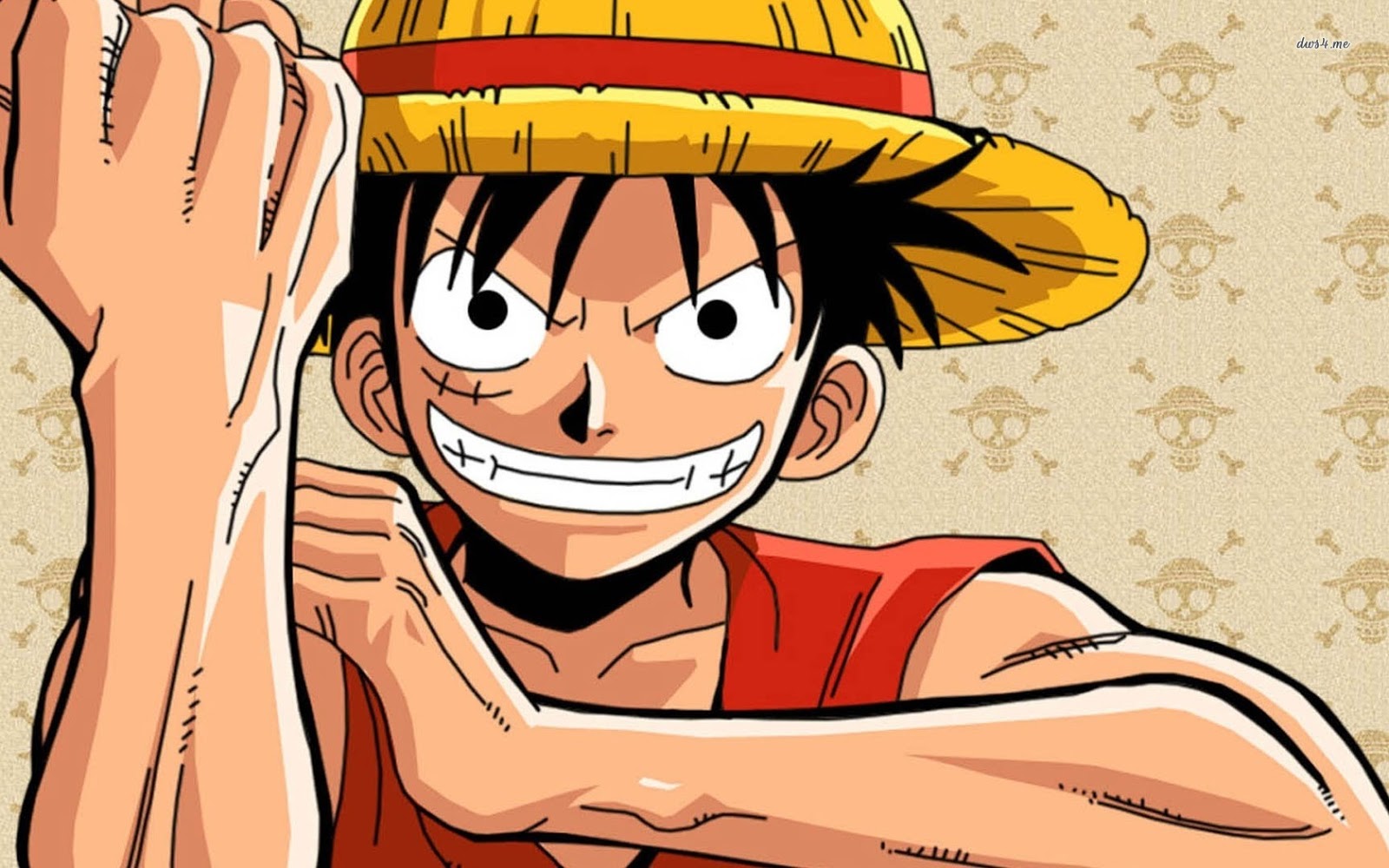 Que Significa La D En One Piece CINEFECTO NEWS: Curiosidades de One Piece