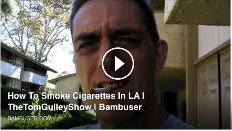 The LA Trip LIVE Updates Videos