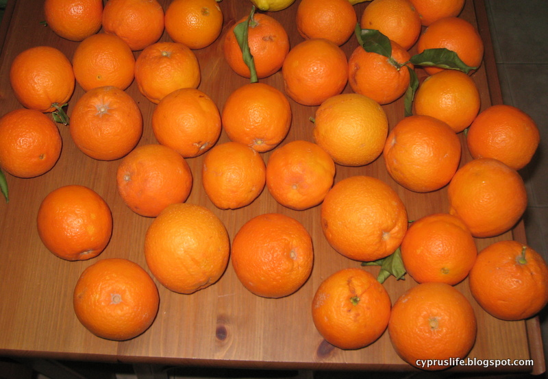 This is Cyprus... In praise of Cyprus fruit and vegetables