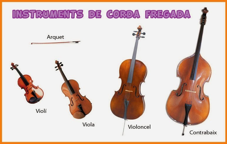 Resultat d'imatges de instruments de corda pinçada