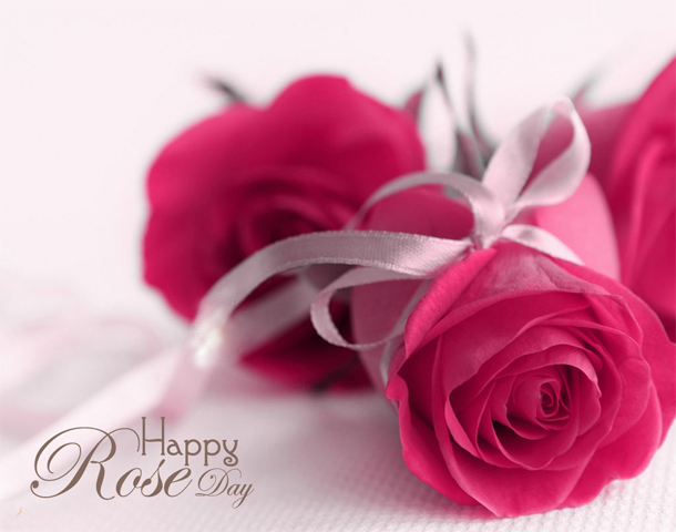 Happy Rose Day 2017 Date Happy Rose Day 2017 Date