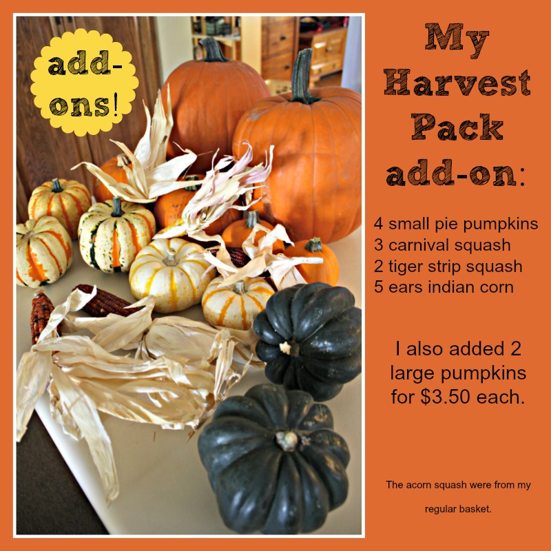 Ricochet and Away! Bountiful Baskets Food CoOp