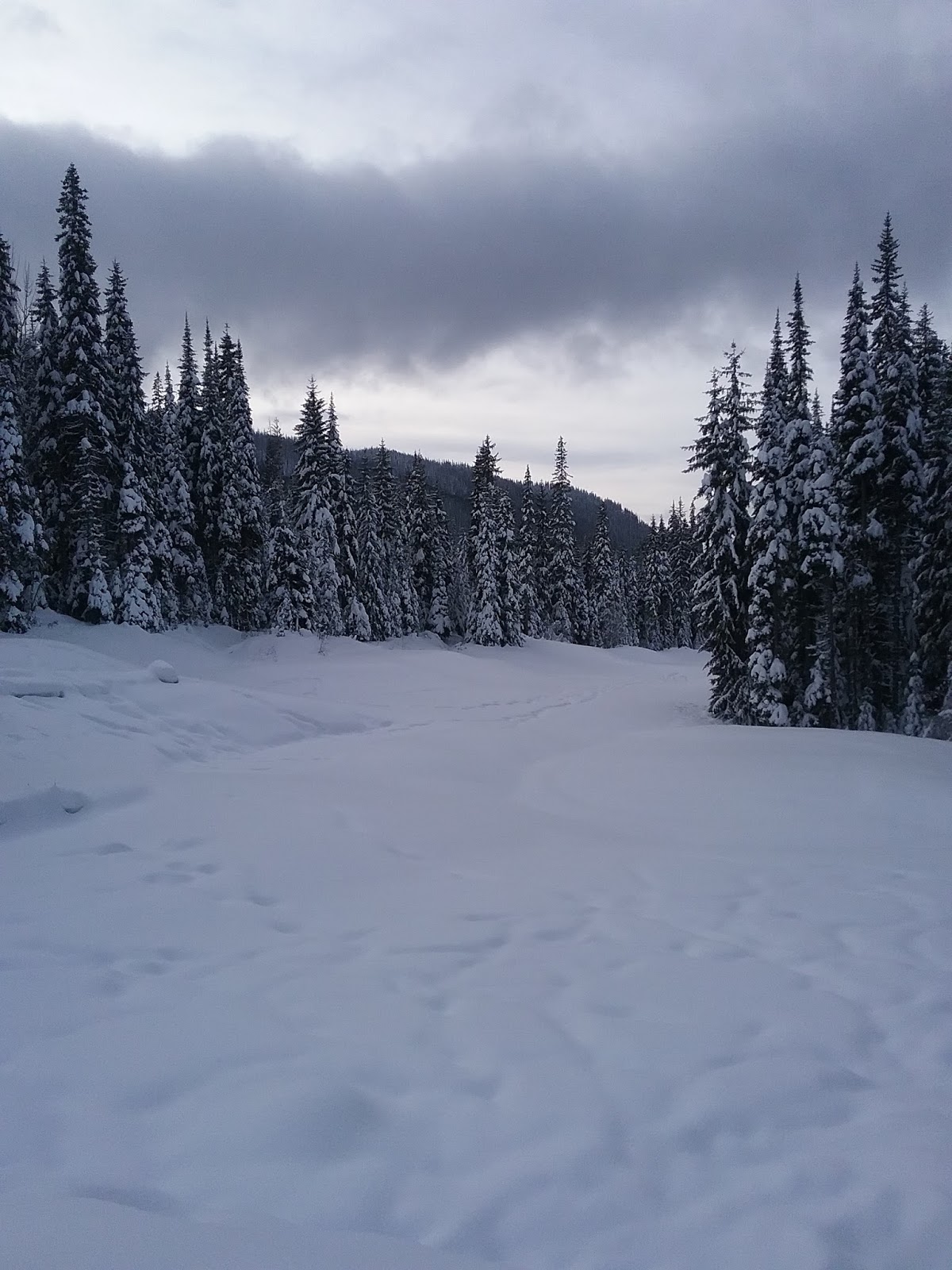 Escape, eh? Sun Peaks snow
