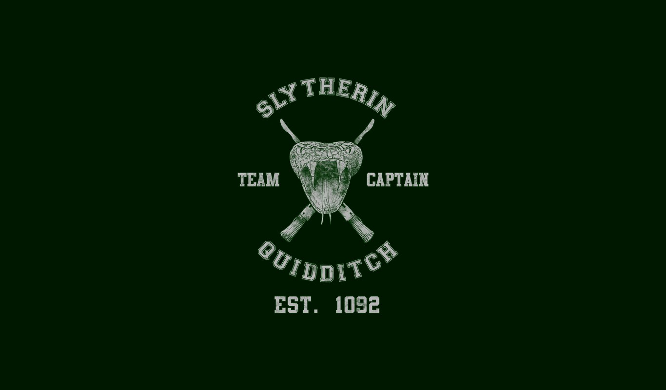 ϟ Slytherin Quidditch