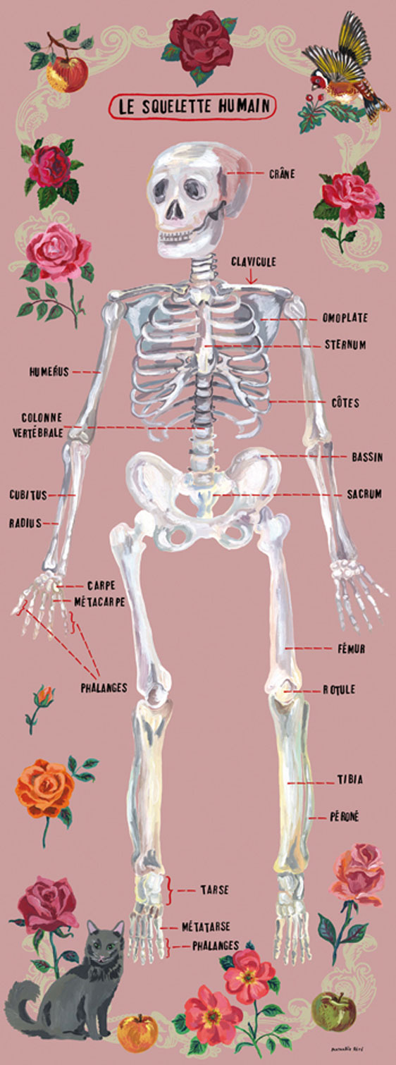 Mama Likes This: Human Skeleton Poster