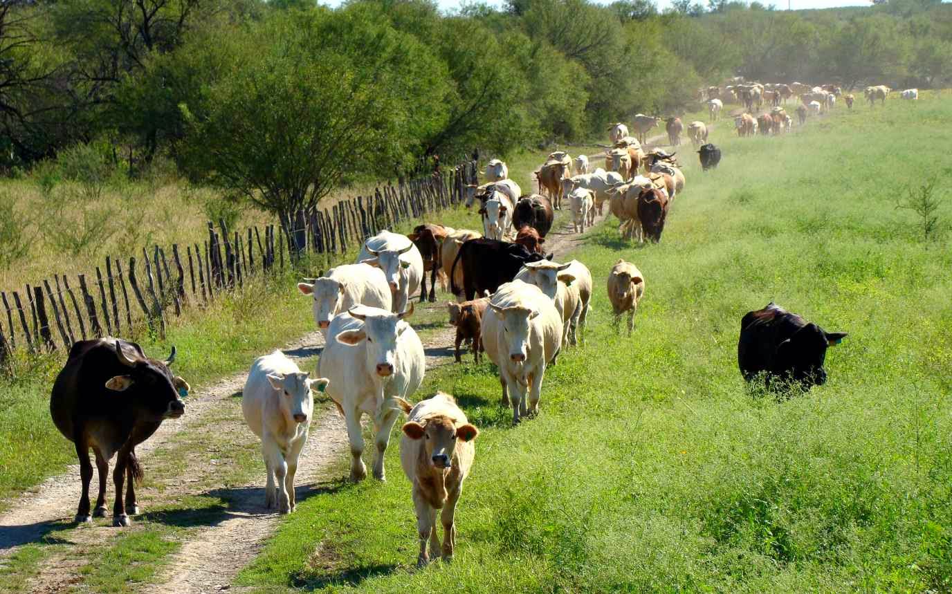 La servidumbre de paso Derecho Civil