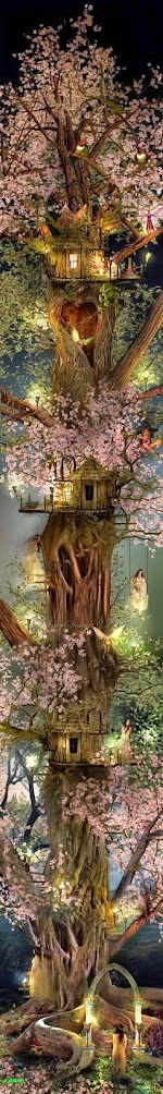Fairy Bloom House