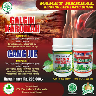 OBAT BATU GINJAL