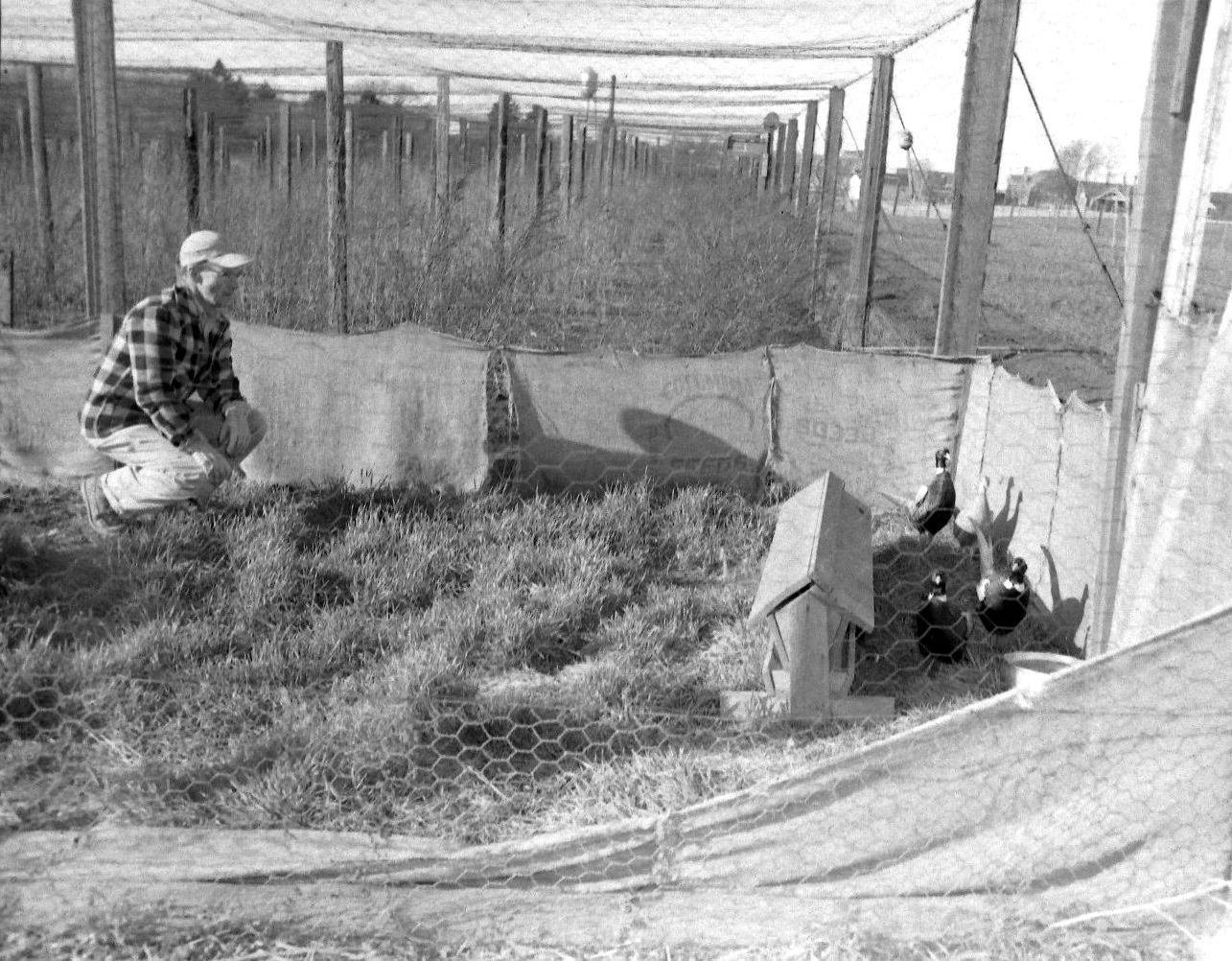 Bygone Walla Walla vintage images of the City and County (and beyond