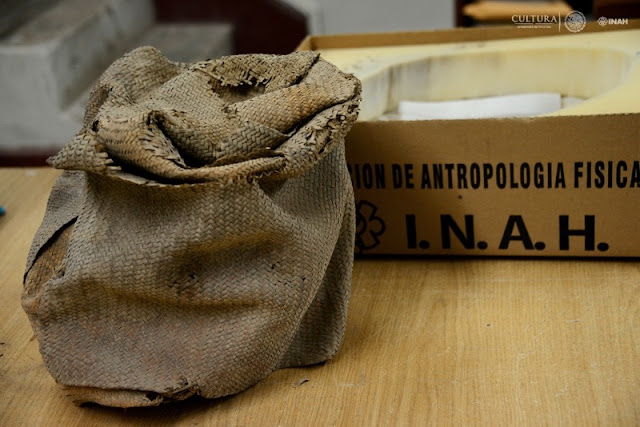 Mexican experts find seeds, cloth around mummified child Mexican experts find seeds, cloth around mummified child