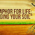 A Metaphor For Life: "Changing Your Soil"