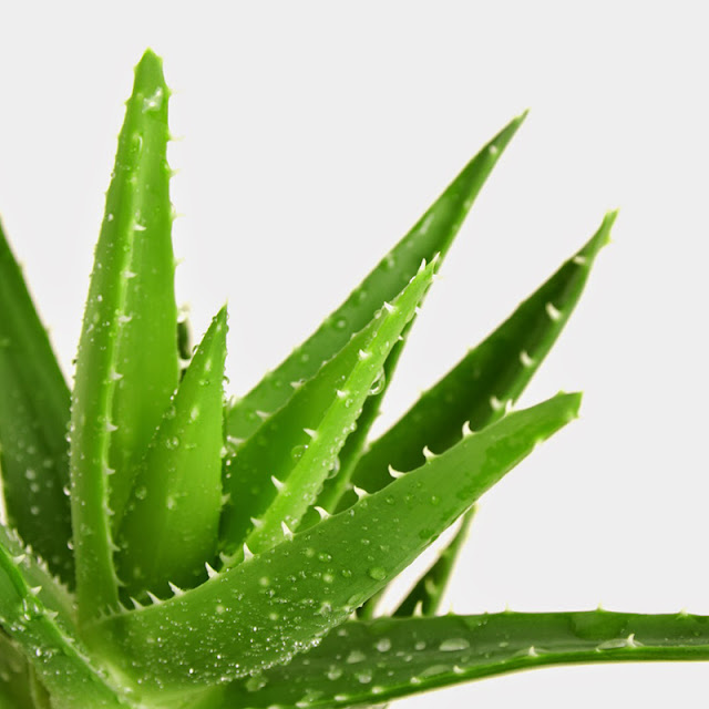 Sakit Lambung Datang Tiba-Tiba? Mungkin ini Penyebabnya