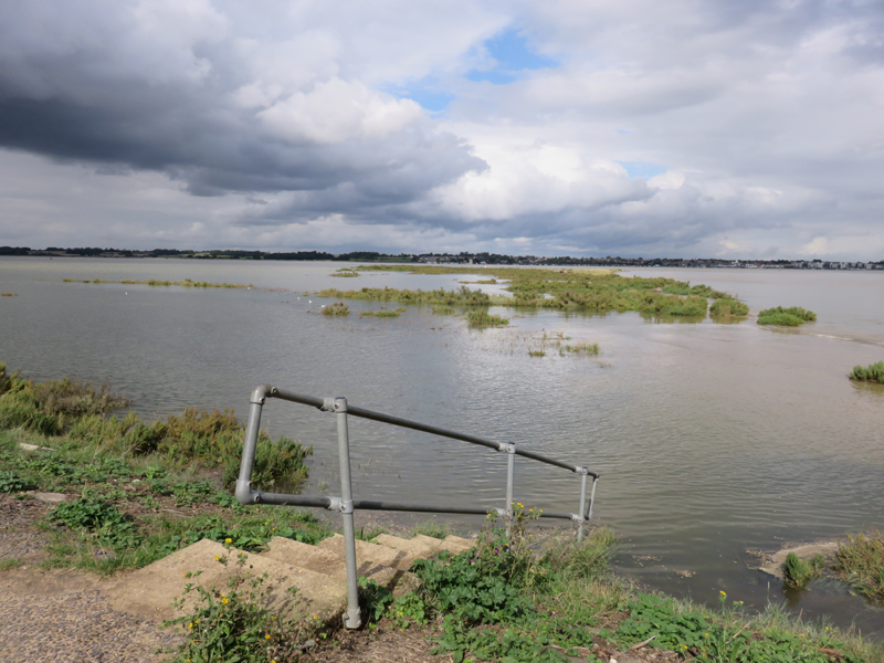 MERSEA WILDLIFE HIGH TIDES