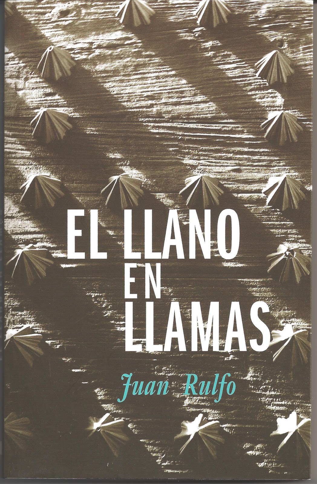 Lectores 47: XIII.- EL LLANO EN LLAMAS