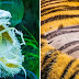 23 Rare Pictures That Reveal The Power Of Nature