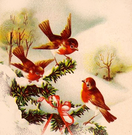 Image ancienne hiver avec oiseaux Image ancienne hiver avec oiseaux