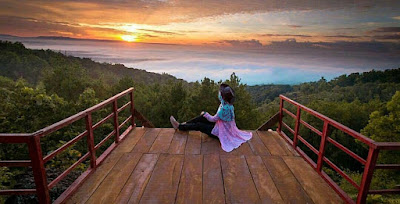 Inilah 10 Tempat Foto Keren Hutan Pinus Asri Karangasem Inilah spot foto gres super keren Hutan Pinus Asri Karangasem Muntuk yang lagi hits di me Inilah 10 Tempat Foto Keren Hutan Pinus Asri Karangasem
