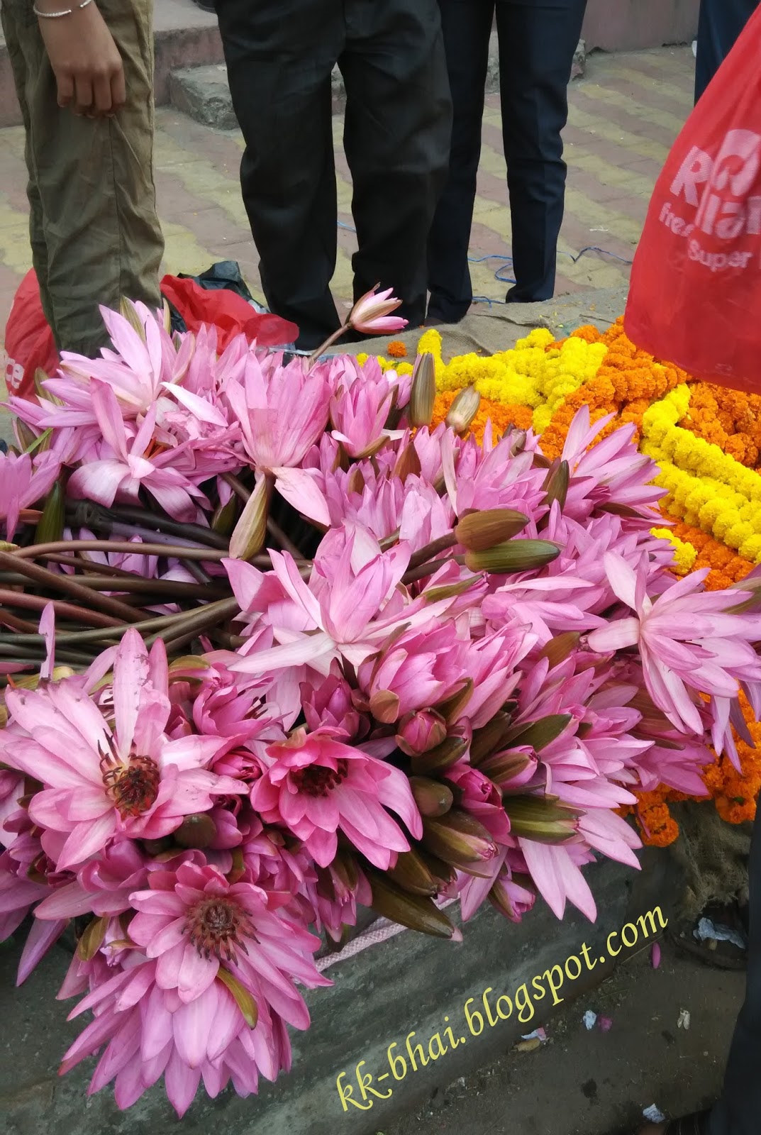 'Puja' Flowers and other things used in 'puja' (Hindu Worship). कमल का