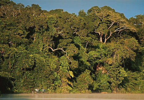 Reserva Nacional de Tambopata-Candamo