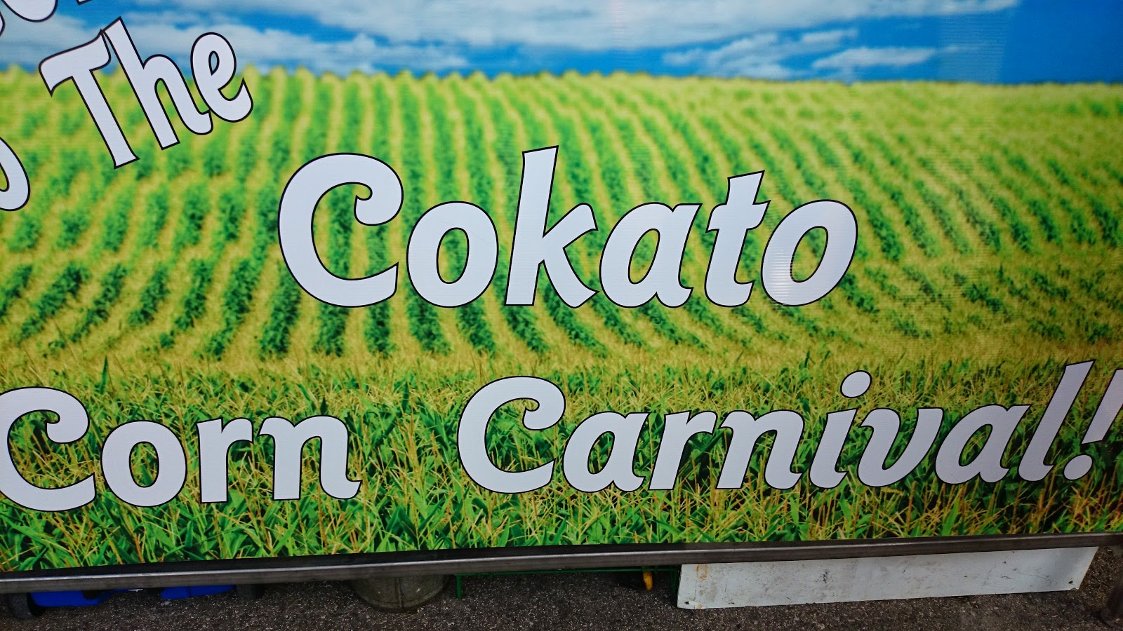 replanted.chicagoan Cokato Corn Carnival, Part 1 A Real Cornucopia