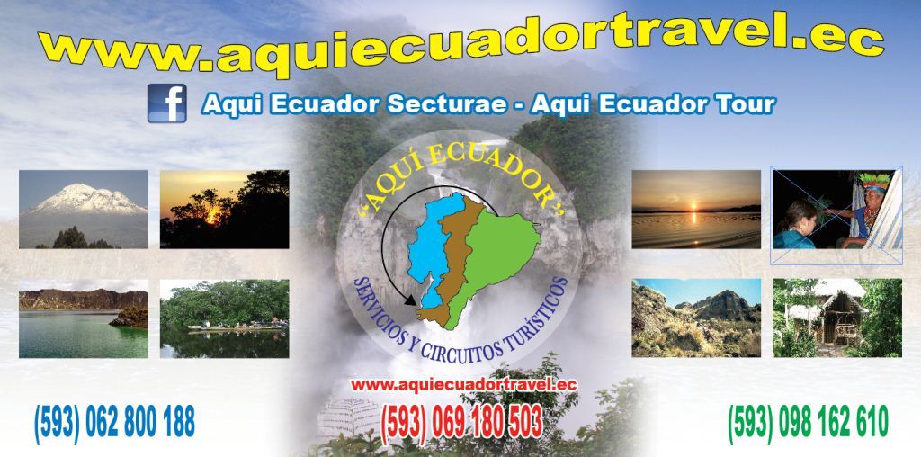 Viajes & Turismo Hoteles y Restaurantes Tourism & Travel Guide