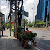 Makcik Pokok Bunga