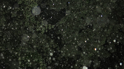 orbs, September 09, 2016, 8:55:40 PM