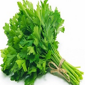 tanaman obat, herbal alami, sehat alami, jamu hijau, life insurance tanaman obat, herbal alami, sehat alami, jamu hijau, life insurance