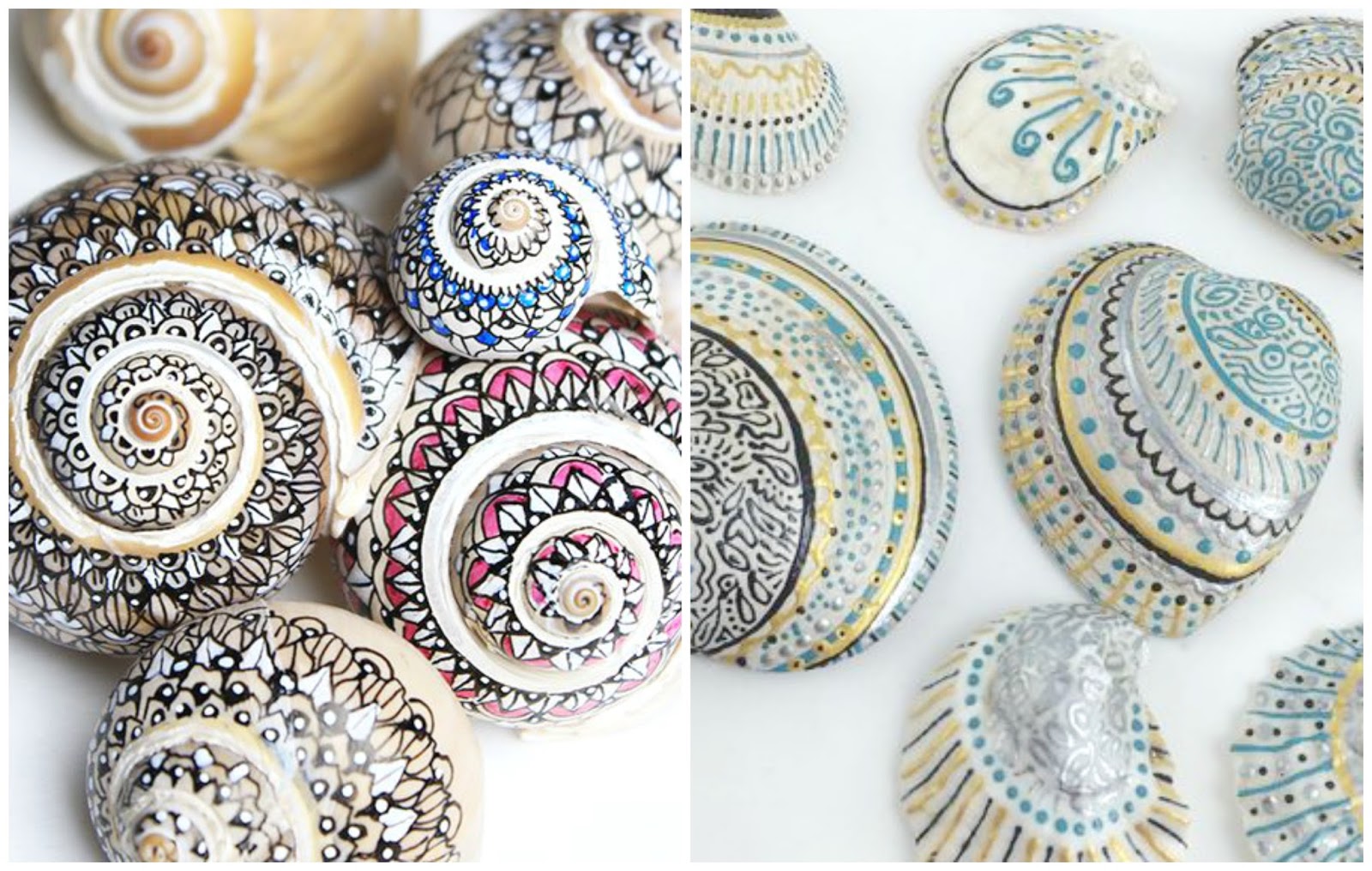 Little Treasures How to Clean and DIY Sea Shells Projects