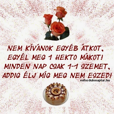 Születésnapi köszöntő-13