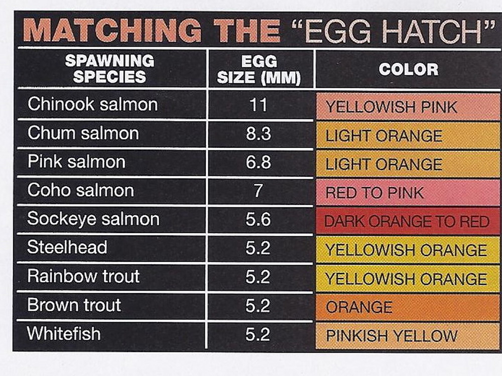 Forest Egg Chart