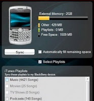 BlackBerry Media Sync available