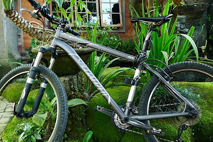 Garden Decor: Nostalgic Bicycle for Garden Decor
