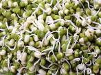Top Helpful Indian Kitchen, Cleaning,Cooking Tips And Tricks