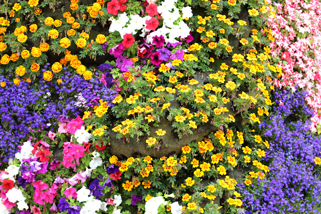 Flower dog in Bilbao, Spain - London travel blog