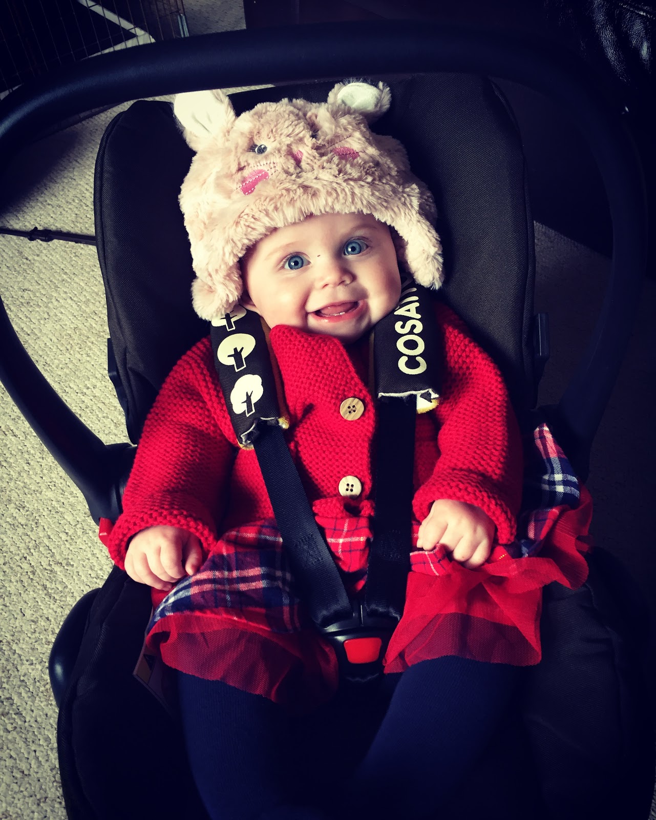 Mrs Bakes and Banter Dressing for Christmas with Nutmeg at