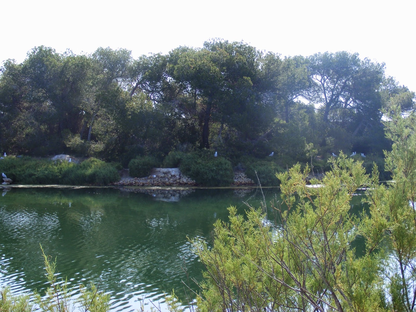 Fotos que me gustan Todas están hechas por mi El lago artificial de