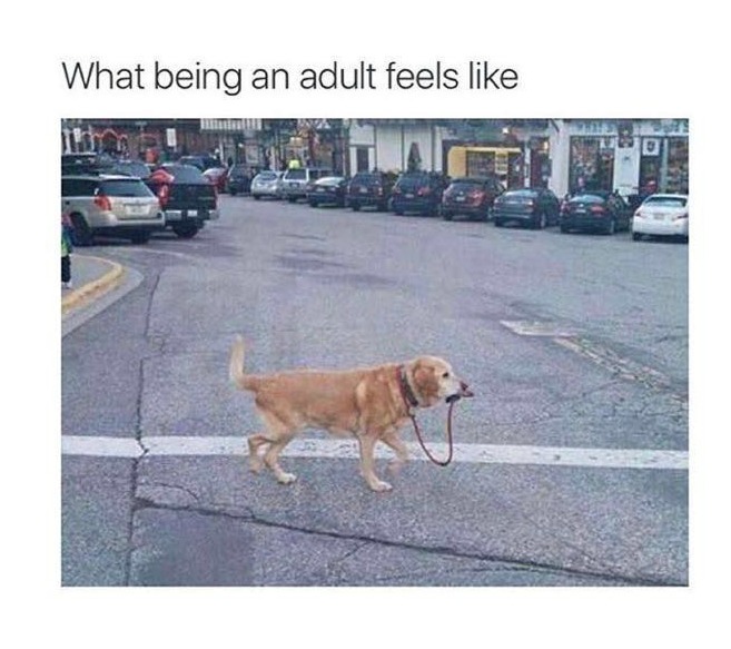 what being an adult feels like