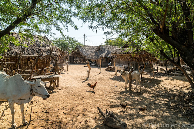 Village de Pwa Saw - Région de Bagan - Birmanie Myanmar
