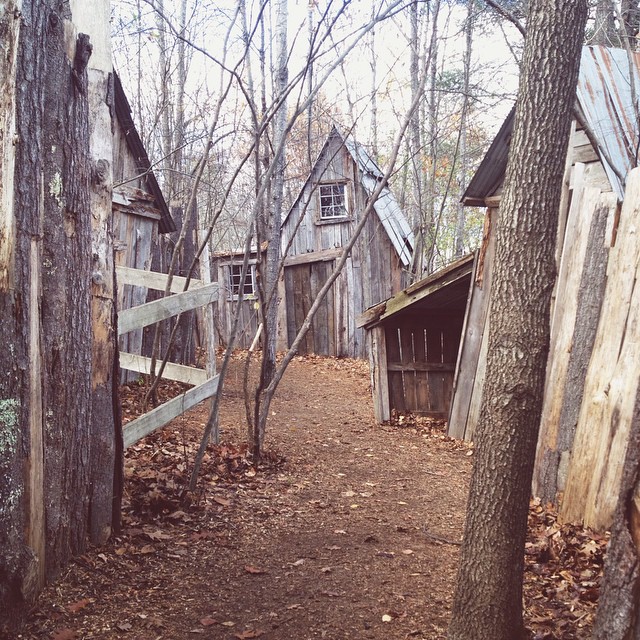 The Blog Village In The Woods