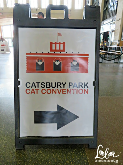 Catsbury Park Cat Convention|Cat cafe