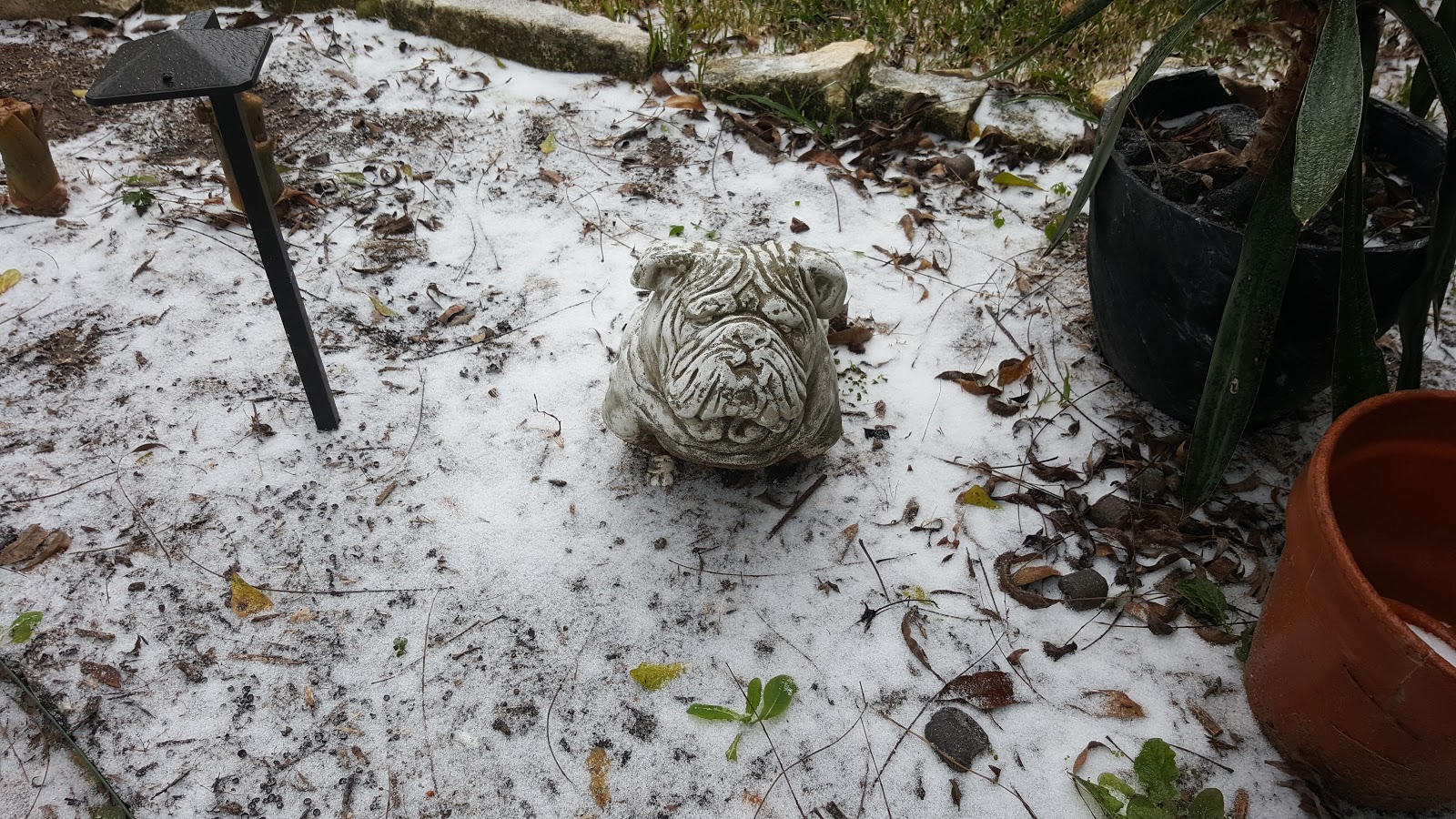 Eastwood Bungalow Snow In Houston