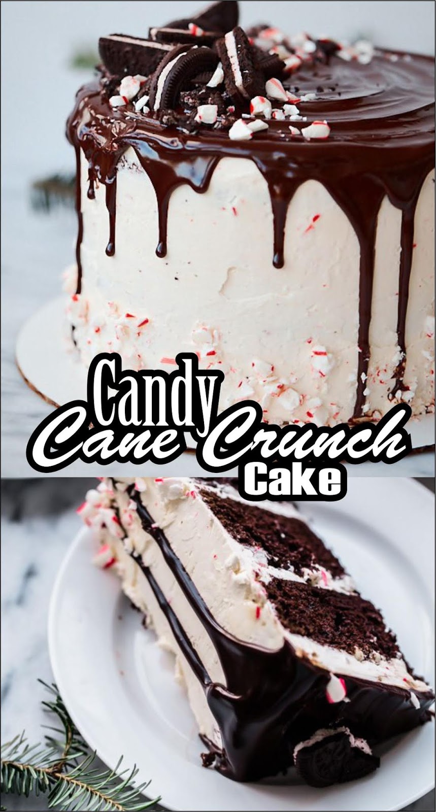 Candy Cane Crunch Cake #Christmas #Cake - angrygeorgian