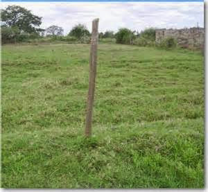Plots for Sale in Chalala