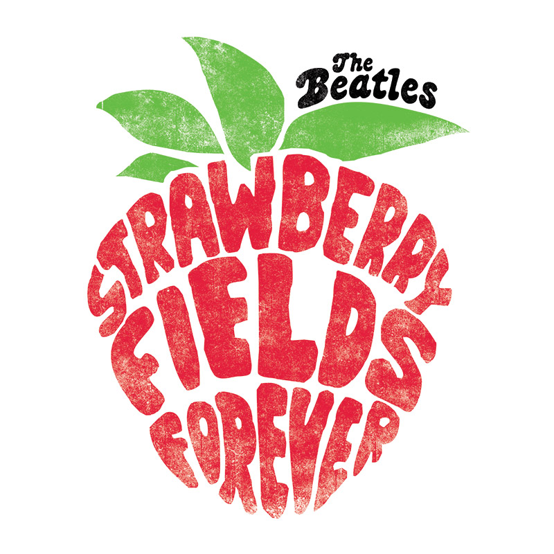 Dying for Chocolate Strawberry Fields Forever Strawberry Rhubarb Pie