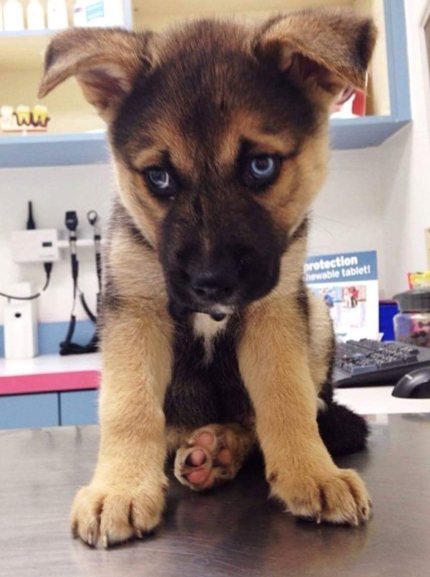 Frauen schlagen sich BREMERHAVEN NEWS