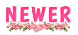 newer posts