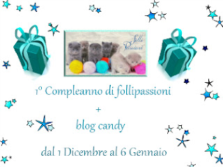 Folli Passioni: dicembre 2013