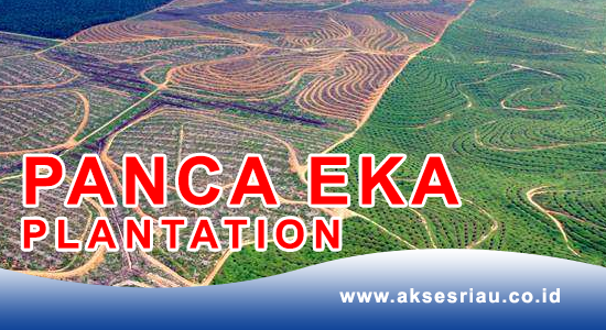 Lowongan PT. Panca Eka Plantation Pekanbaru September 2017